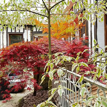 酒店 大剧院酒店