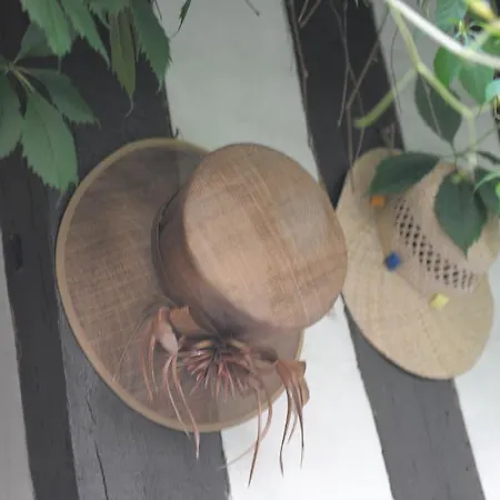 Hotel De La Cathedrale Rouen