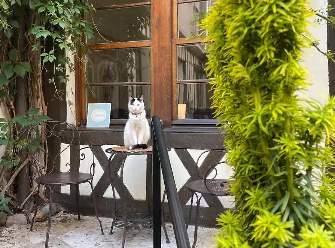 Hotel De La Cathédrale 3*