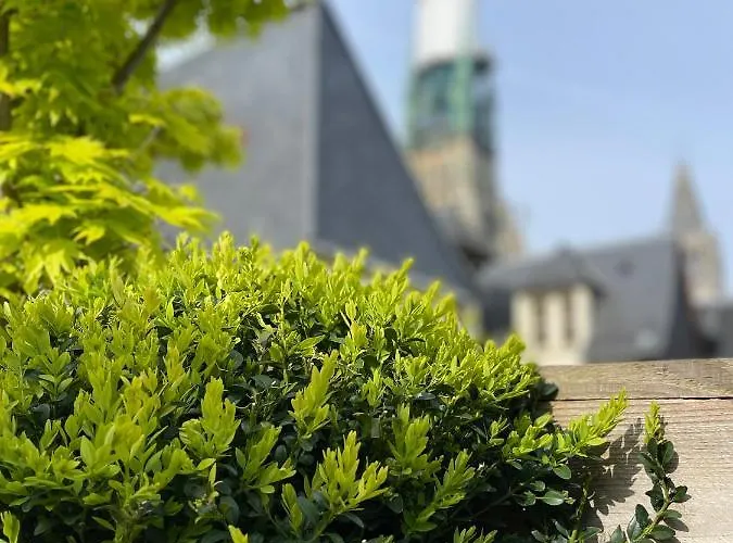 大剧院酒店 酒店