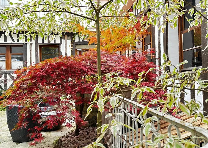 酒店 大剧院酒店