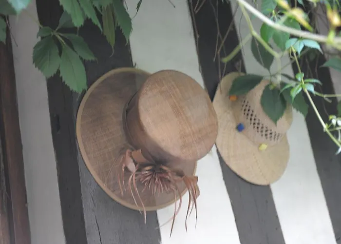 酒店 大剧院酒店 鲁昂